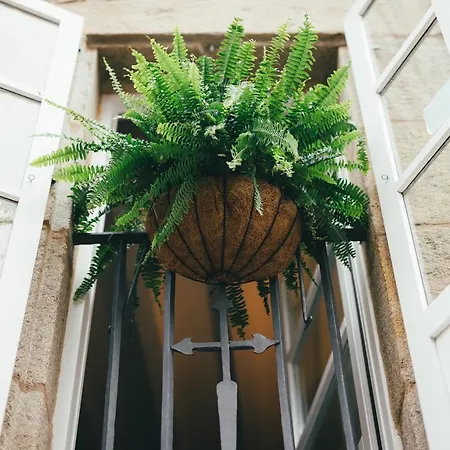 Aurelia Antica Santiago de Compostela