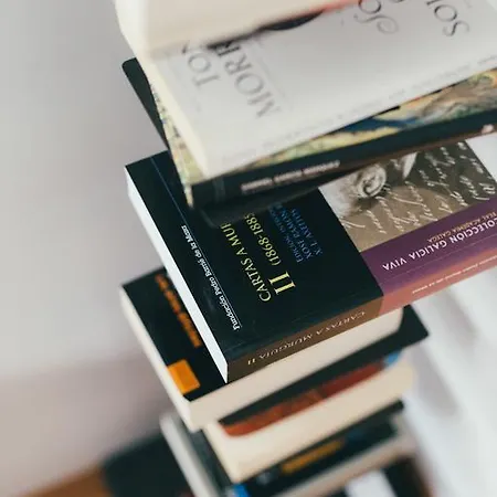 奥里利亚蒂卡公寓 公寓 *