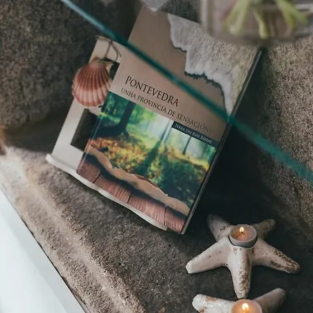 奥里利亚蒂卡公寓 公寓 *