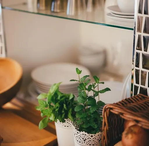 Aurelia Antica Daire *